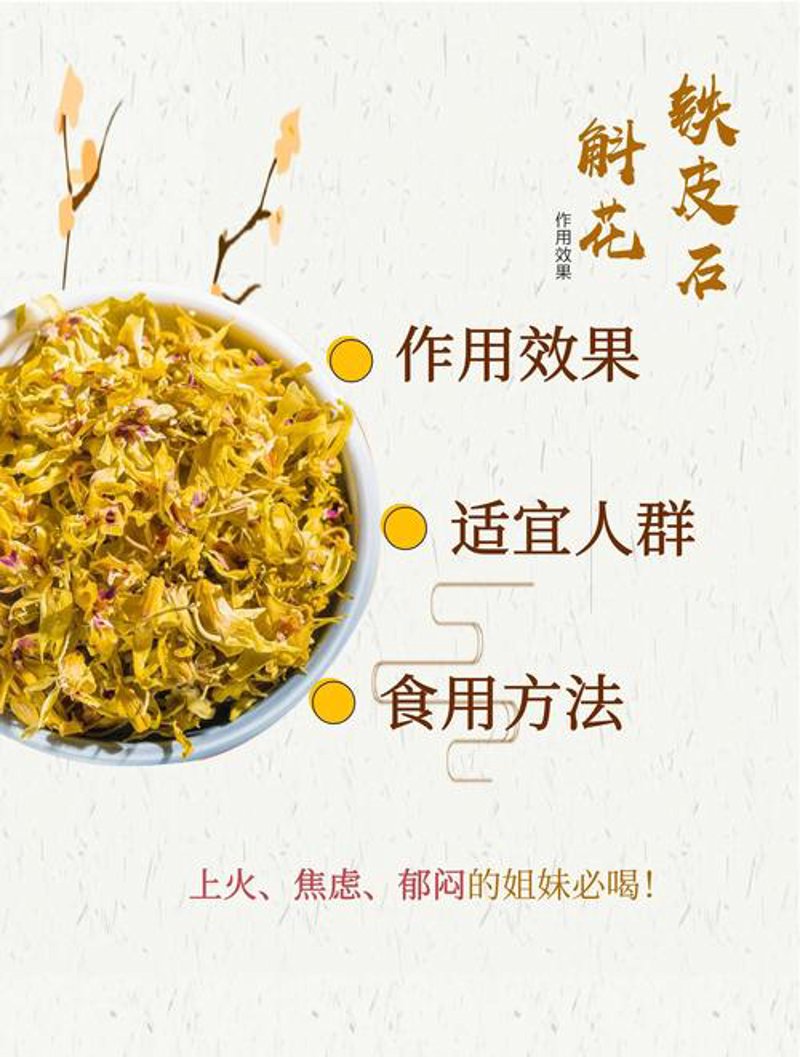 石斛种苗供应